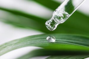 Ce este alimentația biostimulatoare?