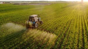 Aminoacizi în agricultură – Aplicații și beneficii
